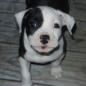 Meet your Posher, Zachary